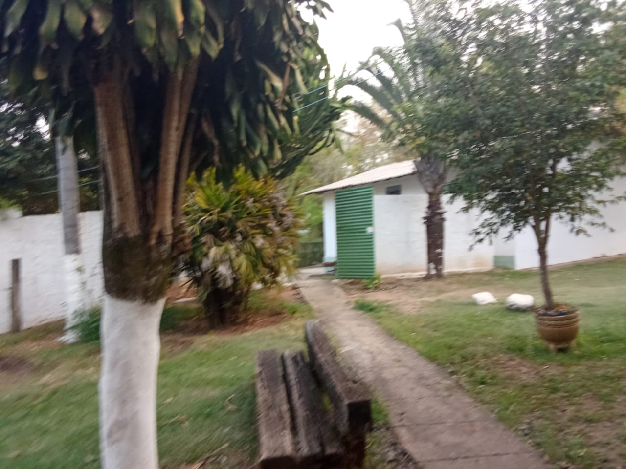 Imagem 6